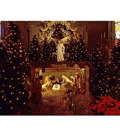 Елка «Чудо в Рождество»