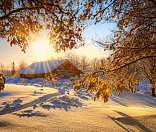 46-Мороз и солнце Фото: Марина Никифорова
