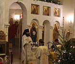 21-Рождество Христово 2019 года в Свято-Елисеевском Лавришевском мужском монастыре